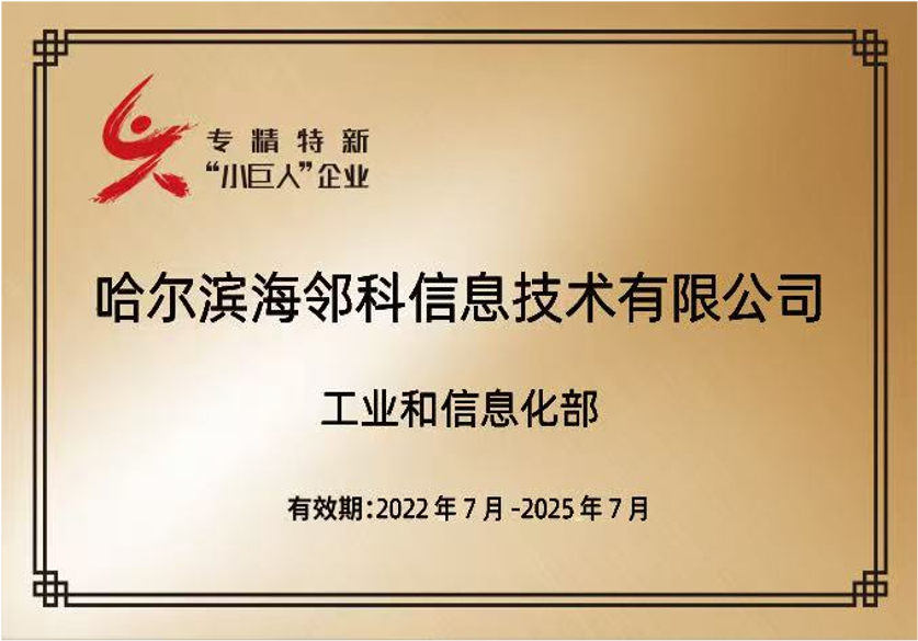 National-level Little Giant enterprise certificate